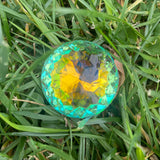 Artists* Crystal Photo Lens (SERIES) *Limited Edition*