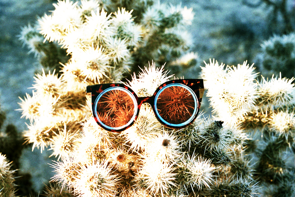 FUTURE SUNGLASSES - WHITE ON BLACK "ECLIPSE" - FUTURE EYES