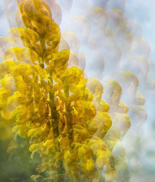 50mm CRYSTAL PHOTO LENSES - Clear & Rainbow - FUTURE EYES