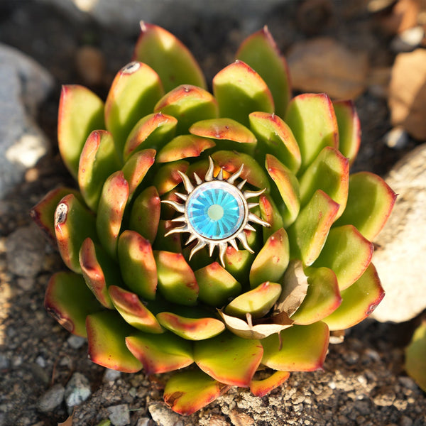 SUN EYES (Limited)